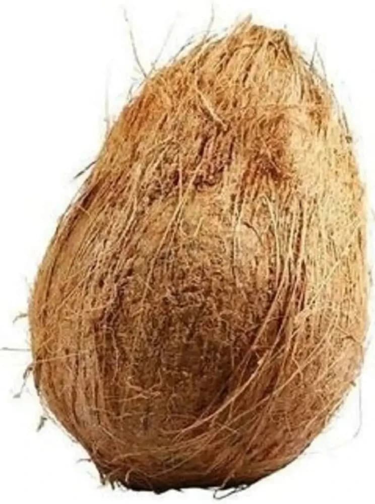 Coconut